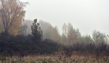 Lietuvą užklups besikeičiantys orai: sinoptikai įspėja kiekvieną gyventoją, laukia pirmieji žiemos ženklai