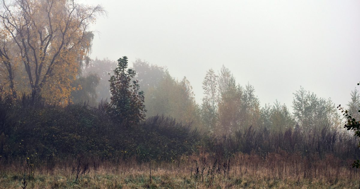 Lietuvą užklups besikeičiantys orai: sinoptikai įspėja kiekvieną gyventoją, laukia pirmieji žiemos ženklai