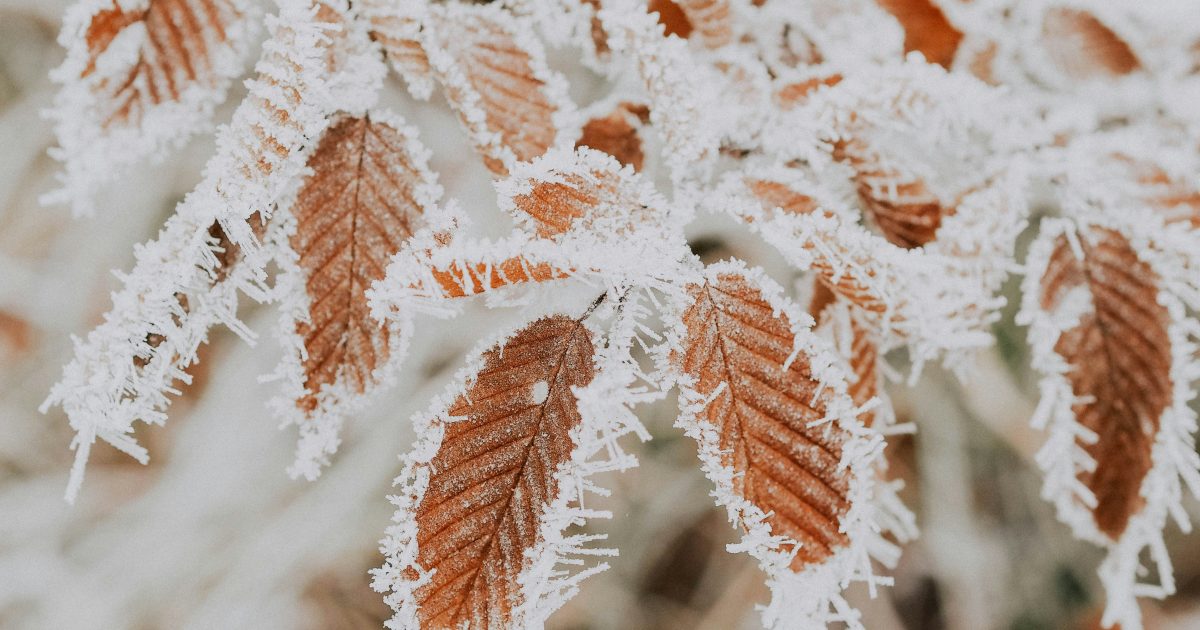 Sinoptikai ragina ruoštis orų pokyčiams: netrukus Lietuvą užklups ne tik šaltis, bet ir sniego lavina