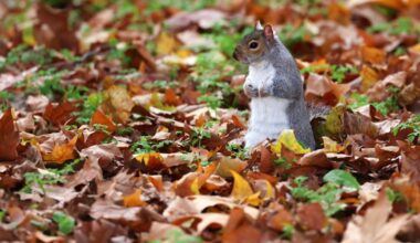 Lapkričio 9 d. vardadieniai ir kitos įdomybės - Respublika.lt