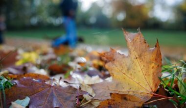 Lapkričio 13 d. vardadieniai ir kitos įdomybės - Respublika.lt