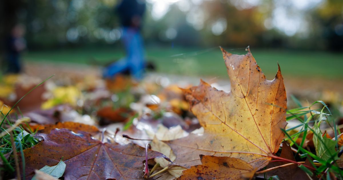 Lapkričio 13 d. vardadieniai ir kitos įdomybės - Respublika.lt