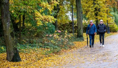 Orų prognozė savaitei: ką žada sinoptikai? - Respublika