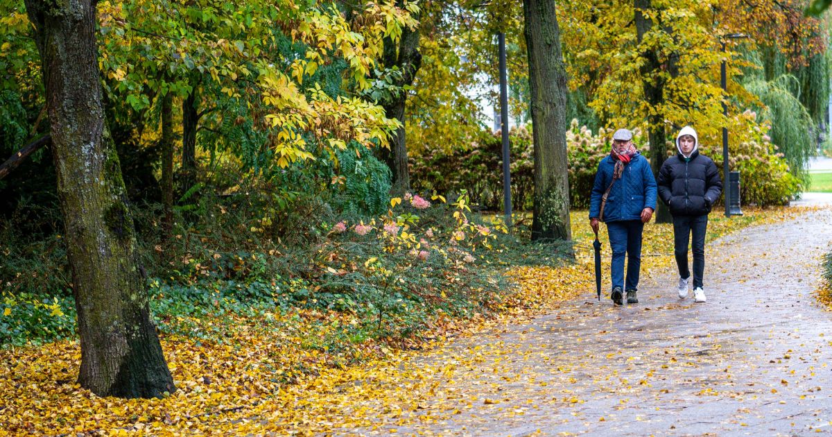 Orų prognozė savaitei: ką žada sinoptikai? - Respublika