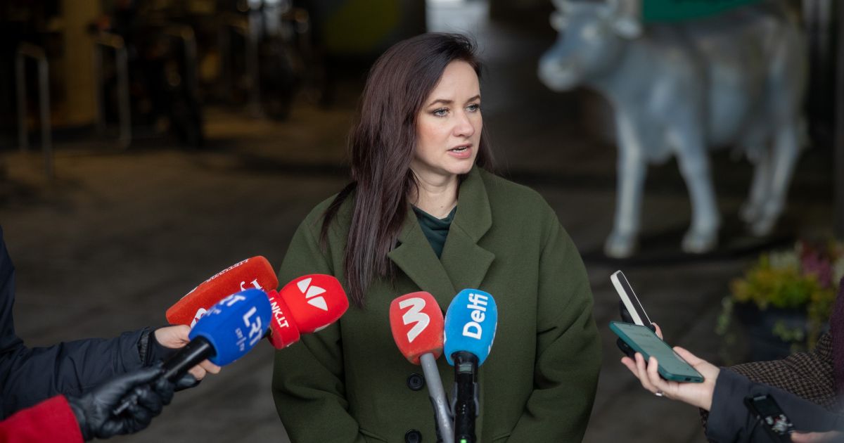 Ruginienė: jeigu situacija su Baltarusija nesikeis, bus priimtas sprendimas uždaryti sieną - Respublika.lt