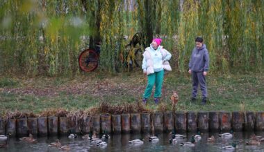 Lapkričio 15 d. vardadieniai ir kitos įdomybės - Respublika.lt