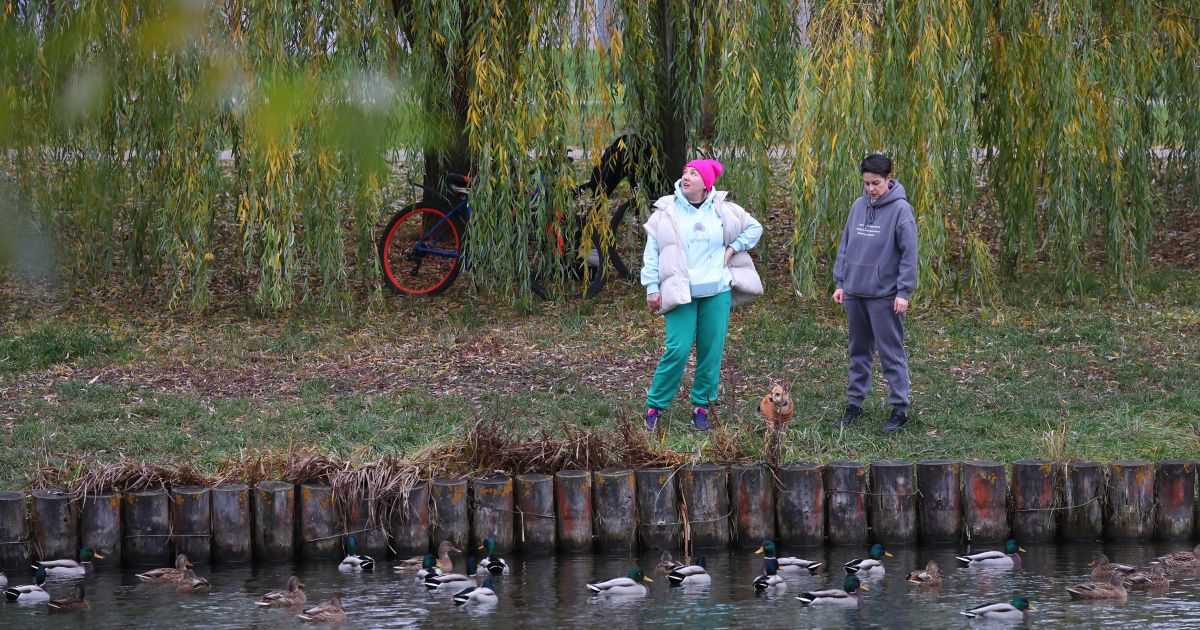 Lapkričio 15 d. vardadieniai ir kitos įdomybės - Respublika.lt