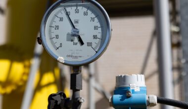 Amerikos SGD eksportuotojai turės ieškoti naujų pirkėjų - Respublika.lt