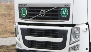 Svertų turime ir mes: Ruginienė apie tai, kad Baltarusija gali gauti pinigų už vilkikų prastovas - Respublika.lt