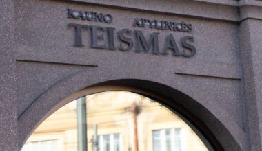 Nuosprendis dėl šokiravusių muštynių Laisvės alėjoje – už grotų nesodina - Respublika.lt