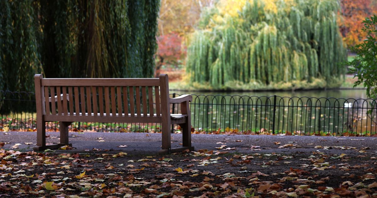 Lapkričio 10 d. vardadieniai ir kitos įdomybės - Respublika.lt