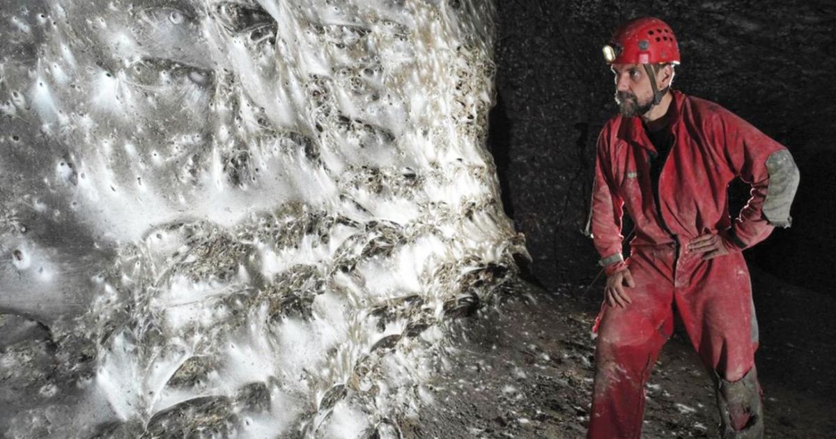 Pasienyje - milžiniškas voratinklių tinklas - Respublika.lt