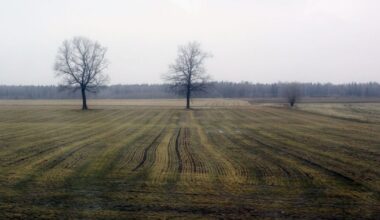 Įsigaliojo draudimas tręšti laukus mėšlu ir srutomis - Respublika.lt