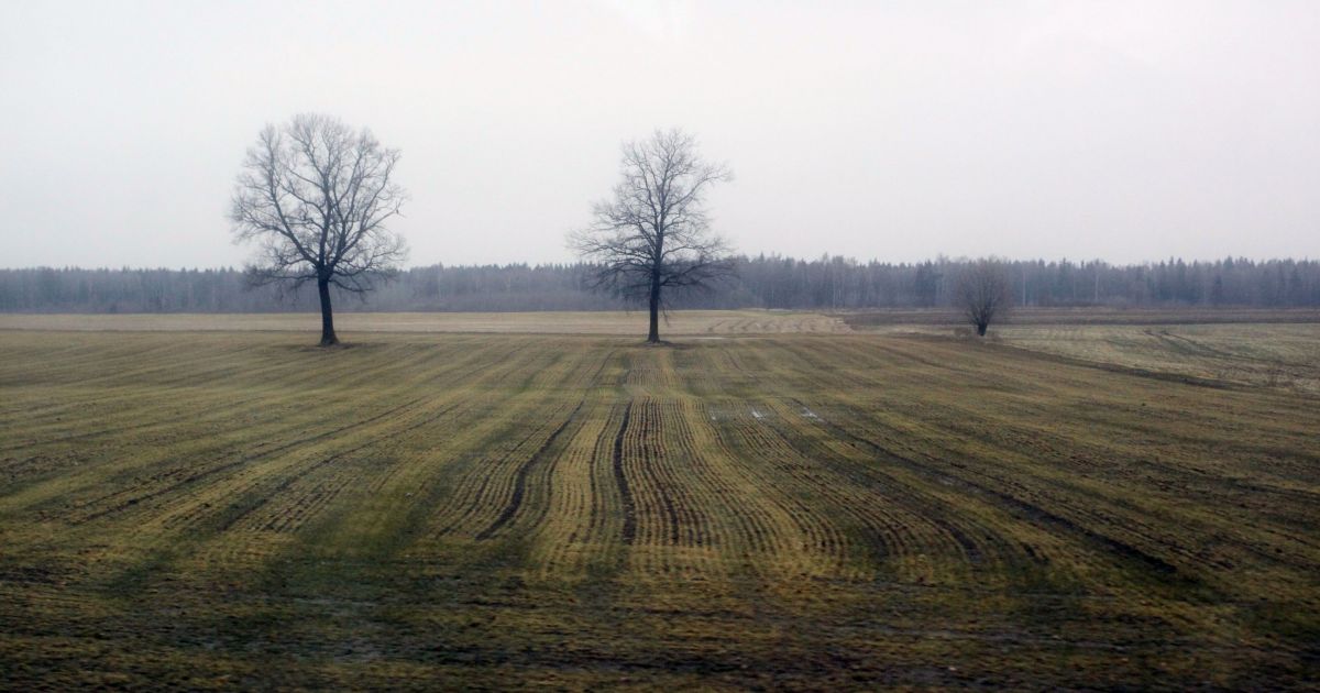 Įsigaliojo draudimas tręšti laukus mėšlu ir srutomis - Respublika.lt