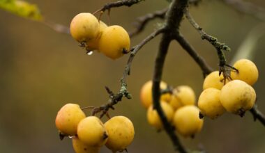 Lapkričio 19 d. vardadieniai ir kitos įdomybės - Respublika.lt