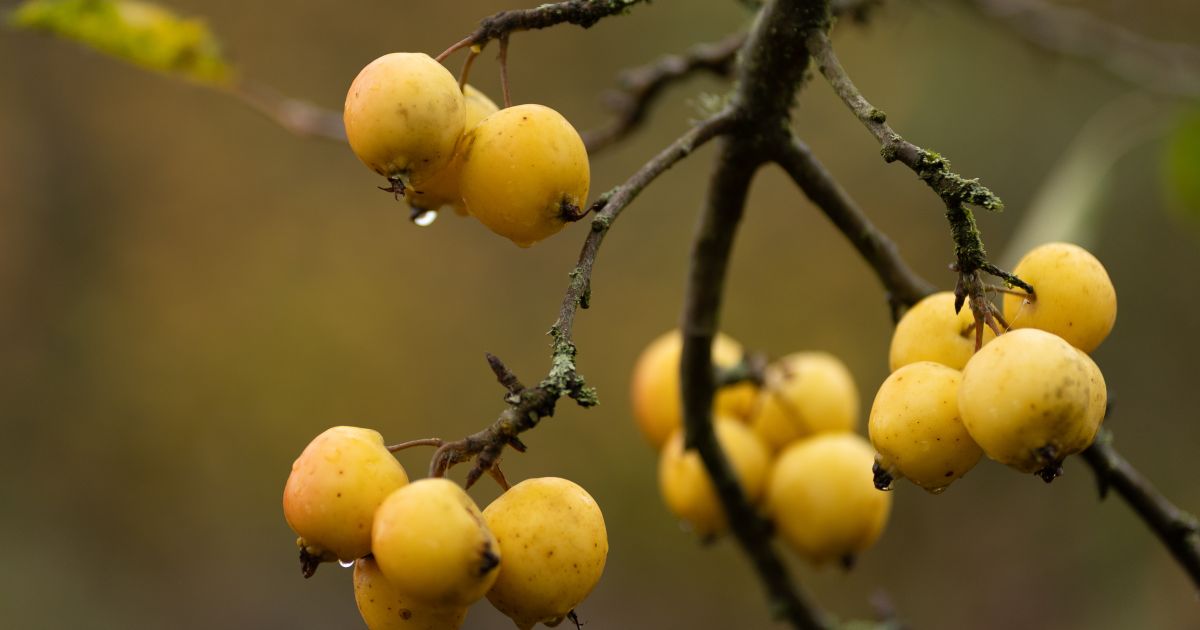 Lapkričio 19 d. vardadieniai ir kitos įdomybės - Respublika.lt