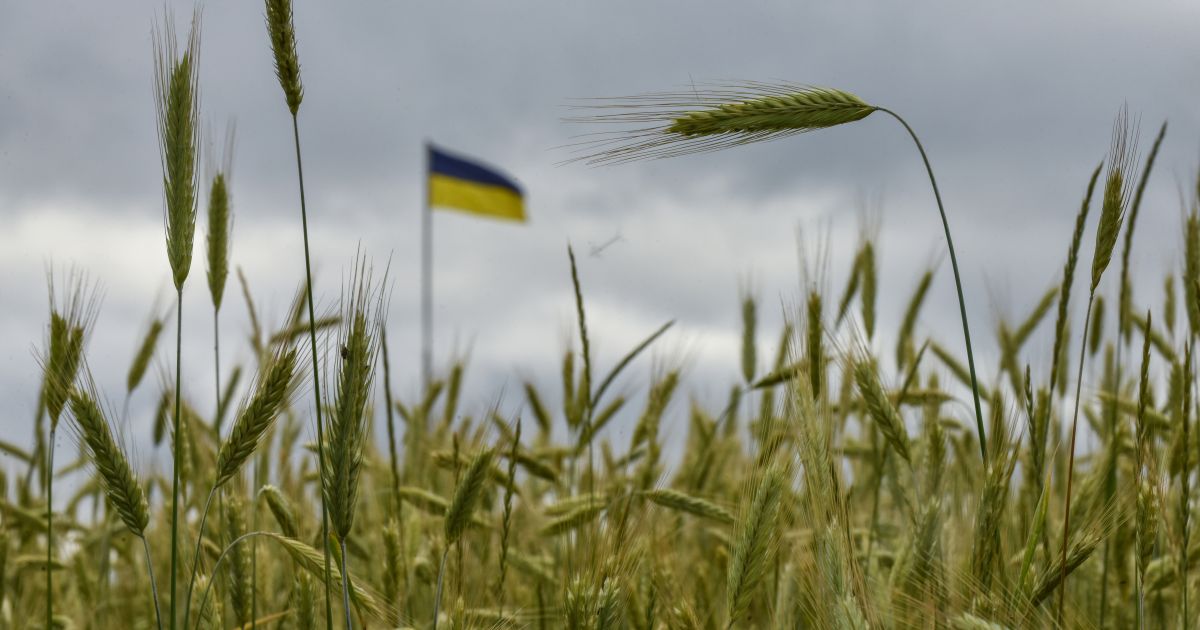 Lenkija, Vengrija ir Slovakija piktinasi ES prekybos susitarimu su Ukraina - Respublika.lt