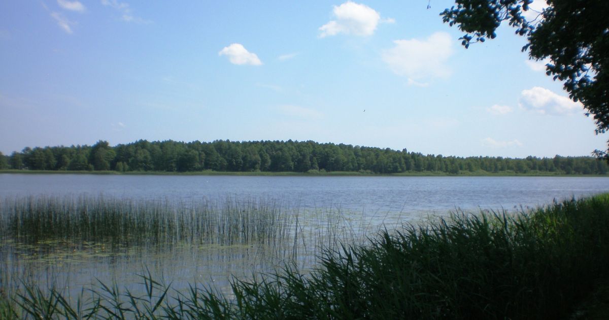 Dingusio Druskininkuose alytiškio kūnas rastas ežere - Respublika.lt