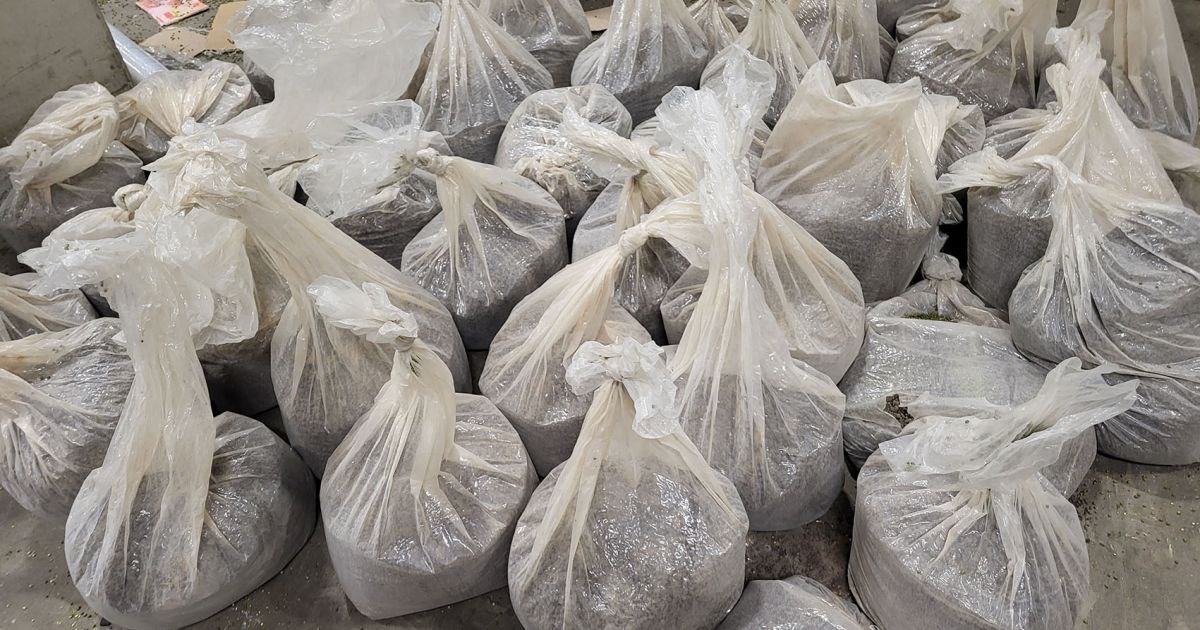 Rekordas: prie Vilniaus sulaikyta beveik pusė tonos heroino - Respublika.lt