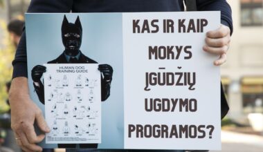 Seimui nerūpi tėvų teisės - Respublika.lt