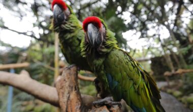 Lapkričio 3 d. vardadieniai ir kitos įdomybės - Respublika.lt