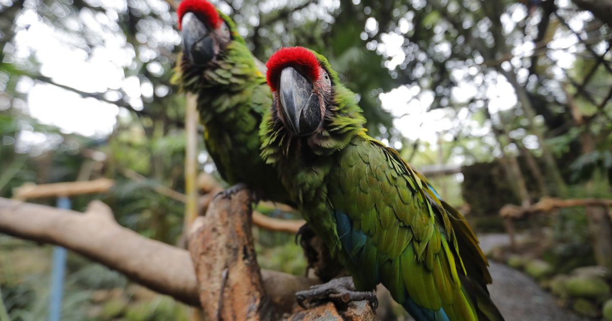 Lapkričio 3 d. vardadieniai ir kitos įdomybės - Respublika.lt