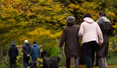 Lapkričio 20 d. vardadieniai ir kitos įdomybės - Respublika.lt