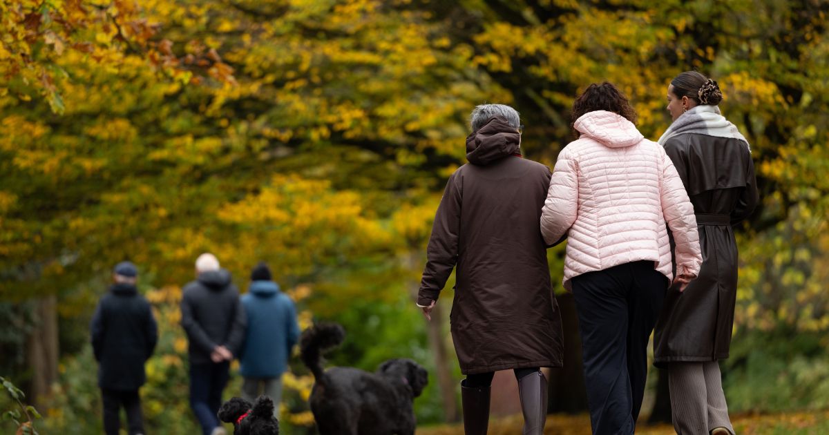 Lapkričio 20 d. vardadieniai ir kitos įdomybės - Respublika.lt