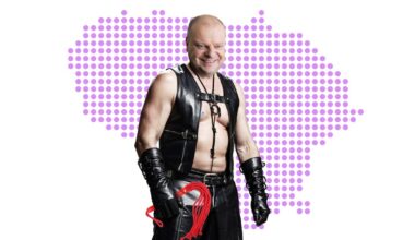 Botagėlis tapo opozicijos fetišu, jo užsigeidė ir Saulius Skvernelis - Respublika.lt