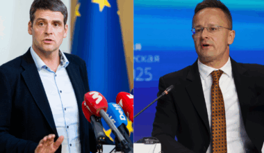 Su Vengrijos užsienio reikalų ministru susitikęs Žemaitaitis pasipylusios kritikos nesureikšmina - Respublika.lt