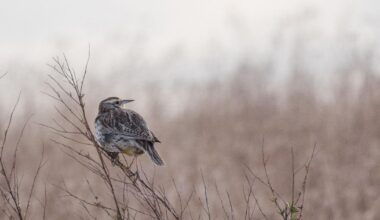 Lapkričio 28 d. vardadieniai ir kitos įdomybės - Respublika.lt
