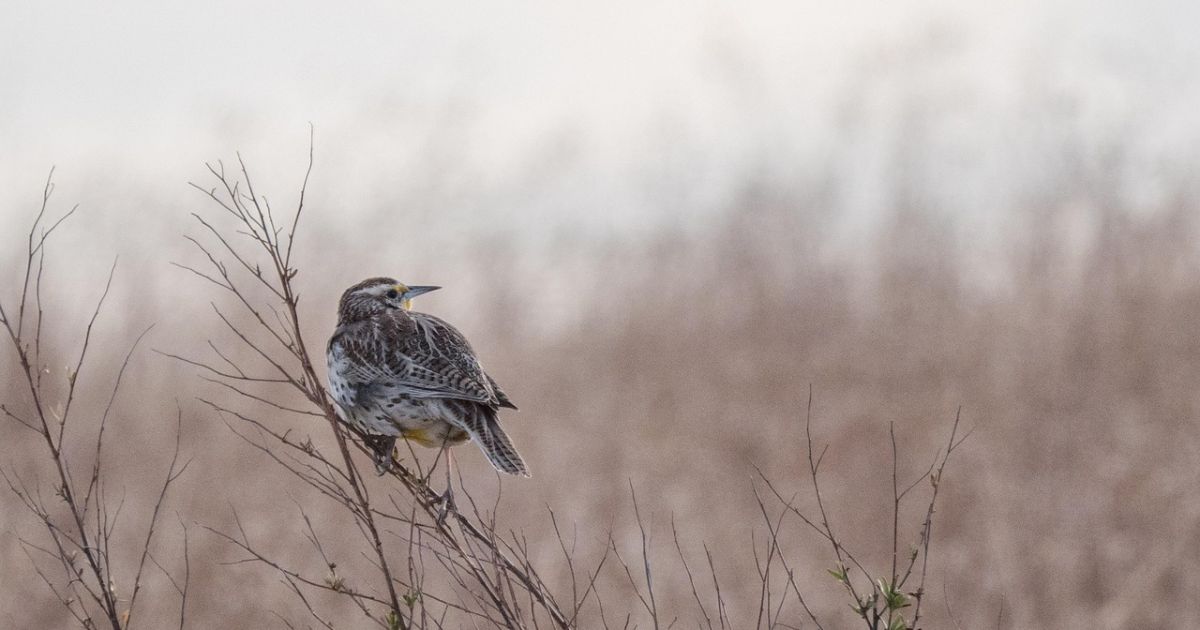 Lapkričio 28 d. vardadieniai ir kitos įdomybės - Respublika.lt