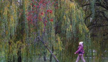 Lapkričio 18 d. vardadieniai ir kitos įdomybės - Respublika.lt