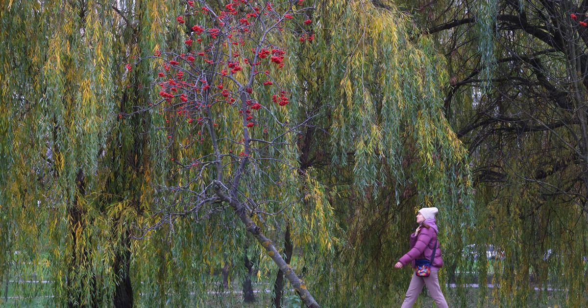 Lapkričio 18 d. vardadieniai ir kitos įdomybės - Respublika.lt