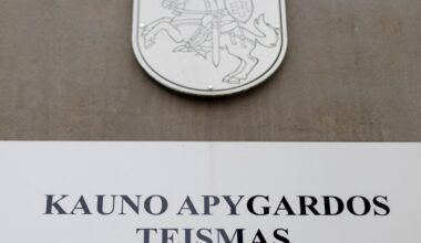 Teismas anksčiau laiko į laisvę paleido už trijų žmonių žūtį avarijoje kalėjusį Mantą Široną - Respublika.lt