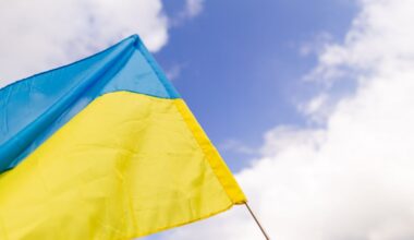 Baigė tyrimą dėl Panevėžyje išniekintos Ukrainos vėliavos – teis pavežėją - Respublika.lt