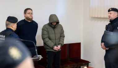 „Ikea“ padegimo byla: jaunam ukrainiečiui teks kalėti - Respublika.lt