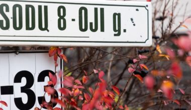 Seimas svarstys, kaip spręsti sodų bendrijose apsigyvenusių žmonių problemas - Respublika.lt