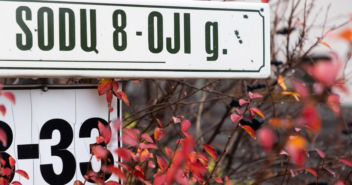 Seimas svarstys, kaip spręsti sodų bendrijose apsigyvenusių žmonių problemas - Respublika.lt