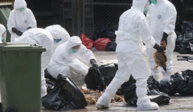 Vokietija nesusitvarko su paukščių gripu - Respublika.lt