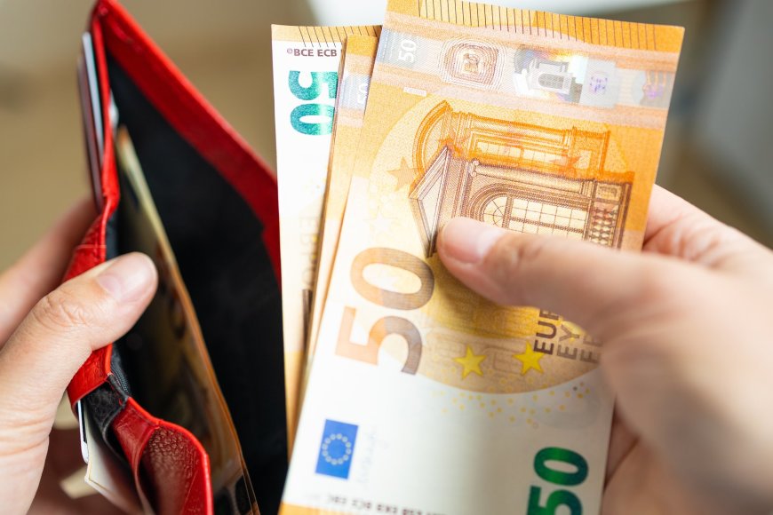 Shutterstock nuotr./Piniginė