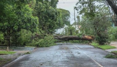 Portugalijoje siaučiant audrai žuvo pagyvenusių asmenų pora