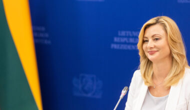 Rita Tamašunienė sako, kad jos frakcija nepalaikys pataisų dėl partnerystės, Seime tikisi diskusijos