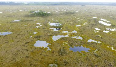 „Neurobikos“ testas: ar žinote 5 didžiausias Lietuvos pelkes? | Gyvenimas