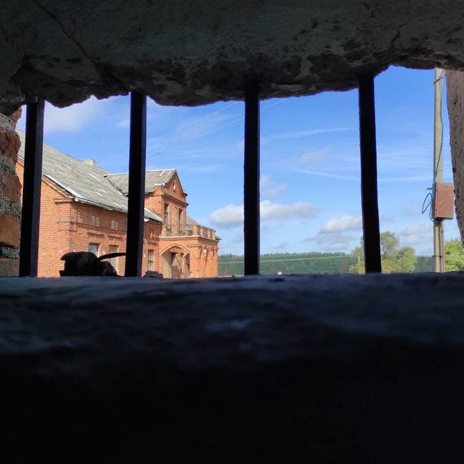 Ritos Bieliauskaitės asmeninio archyvo nuotr. / Vinkšnupių dvaro sodyba (Vilkaviškio r.)