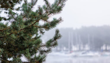 Artėjanti žiema jaučiasi vis labiau: sinoptikai praneša, ko tikėtis savaitgalį