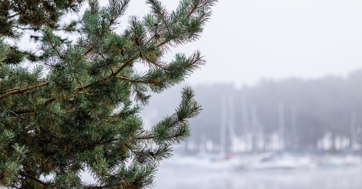 Artėjanti žiema jaučiasi vis labiau: sinoptikai praneša, ko tikėtis savaitgalį