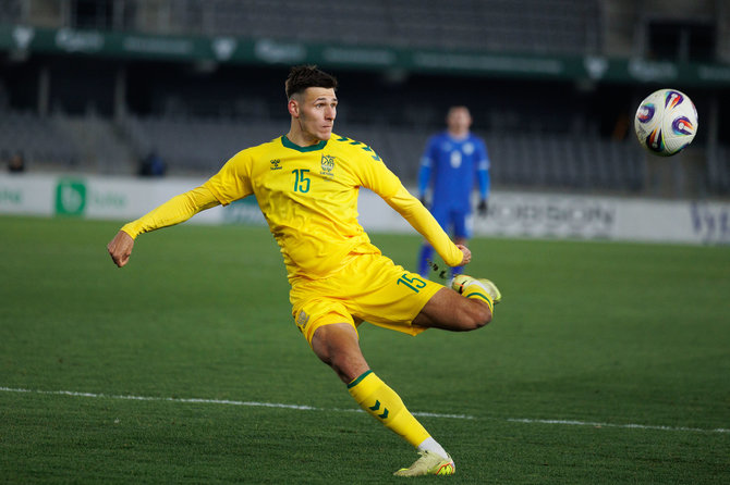 Eriko Ovčarenko / BNS nuotr./Gvidas Gineitis