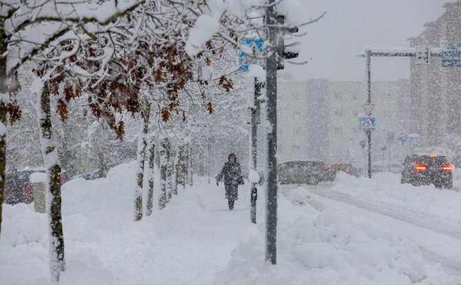 Ain Liiva/ „Postimees“/Sniegas Estijoje