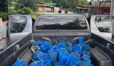 Tailande sulaikyti du vyrai, gabenę dešimtis beždžionių ir narkotikus
